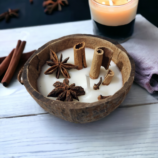 Cinnamon coco shell candles